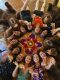 2-day Breathwork Retreat Canada - Vancouver
